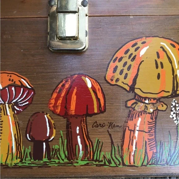 Caro Nan Mushroom Wood Purse Handbag Bag Metal Handle Red Orange Vintage 60s 70s - Picture 7 of 10